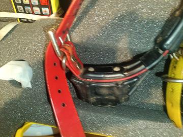 collari GPS per cani 