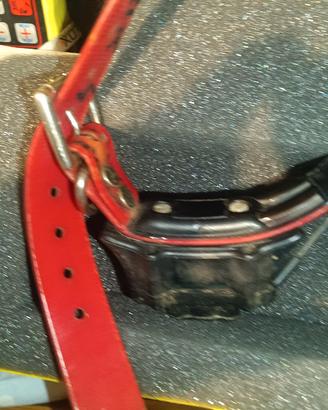 collari GPS per cani 