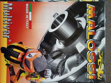 variatore Malossi frizione Burgman 
