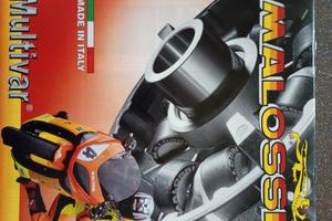 variatore Malossi frizione Burgman 
