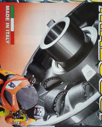variatore Malossi frizione Burgman 