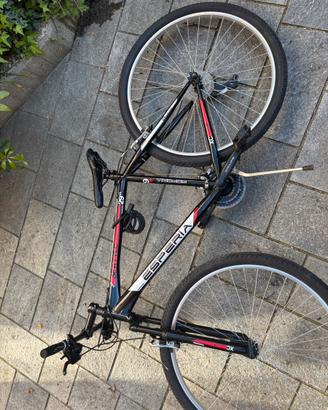 Bici Uomo