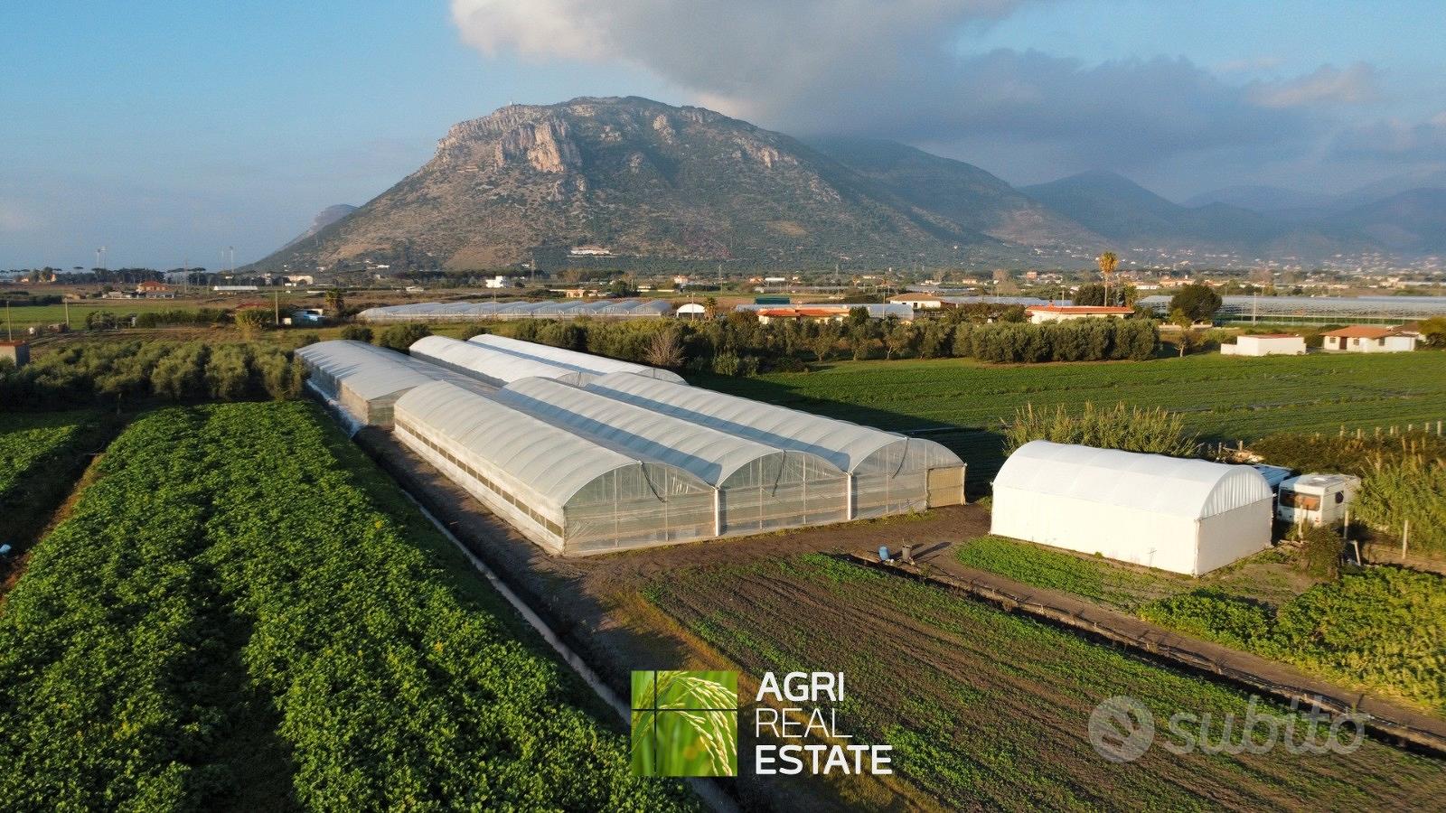Terreno 5.000 mq ca. con serre | TR468 - Vista 4