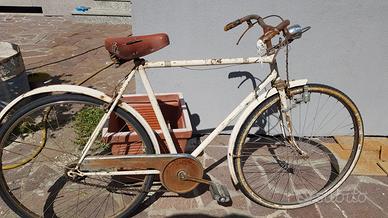 bicicletta uomo Stella alpina