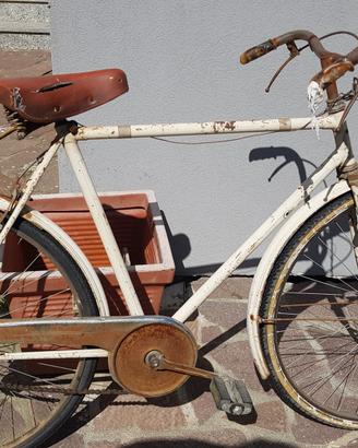 bicicletta uomo Stella alpina