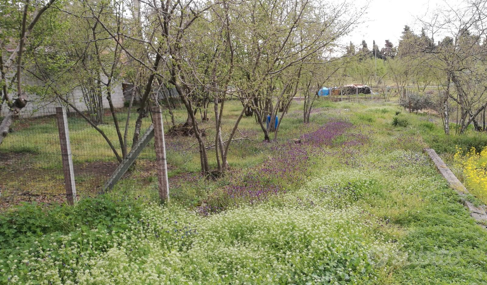 Terreno agricolo pianeggiante - Vista 2