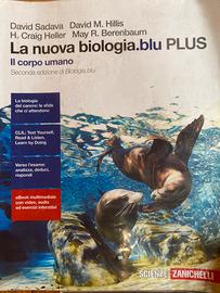 La nuova biologia blu il corpo umano