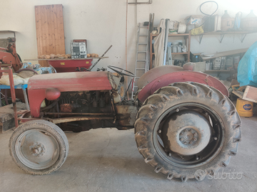 Massey Ferguson 35