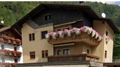 Appartamento - Mezzana