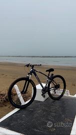 Bicicletta Collective C100 WheelieBike