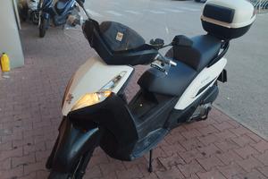 scuter 300  targa polacca 