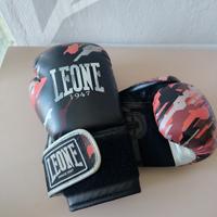 guantoni Leone e caschetto