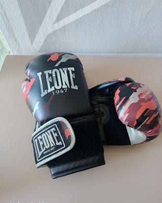 guantoni Leone e caschetto