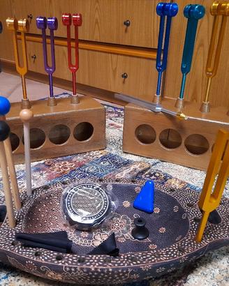 Diapason professionali 12 frequenze con accessori