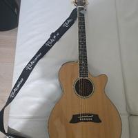   chitarra acusticaTakamine limited 1989