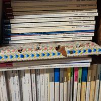 Riviste architettura Domus