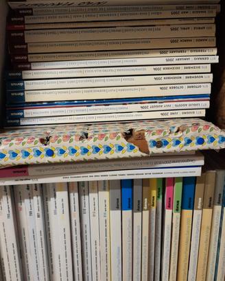 Riviste architettura Domus