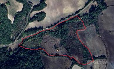 Terreno agricolo a Casacalenda (vallata del Cigno)