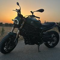 BENELLI LEONCINO 800