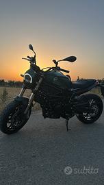 BENELLI LEONCINO 800