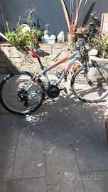 Bici ragazzo