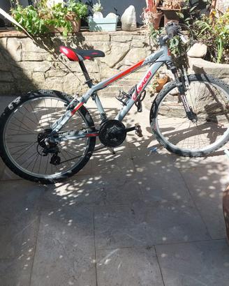 Bici ragazzo