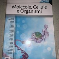 Molecole, Cellule e Organismi     E.Ginelli