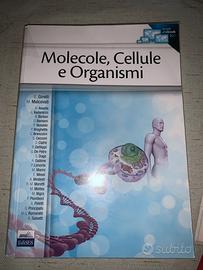 Molecole, Cellule e Organismi     E.Ginelli