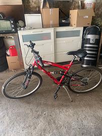 Bicicletta uomo ragazzo
