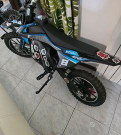 minimoto 2026 elettrica 800w pitbike CRZ