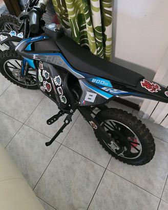 minimoto 2026 elettrica 800w pitbike CRZ