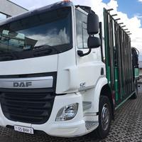 Daf cf 400 Gru Fassi 195C