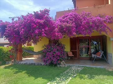 Casa vacanze San Teodoro con giardino privato