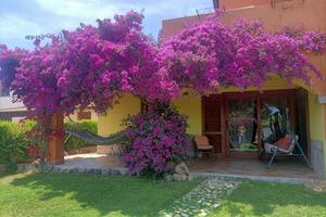 Casa vacanze San Teodoro con giardino privato