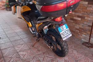 Honda XL 700 V Transalp - 2008