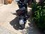 Immagine 1