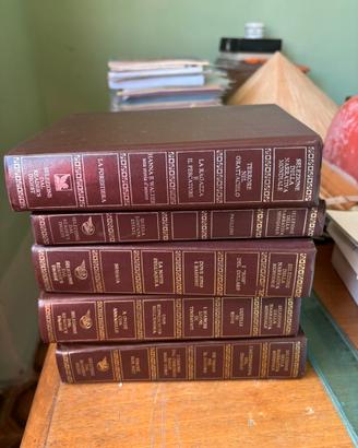 Collezione libri classici