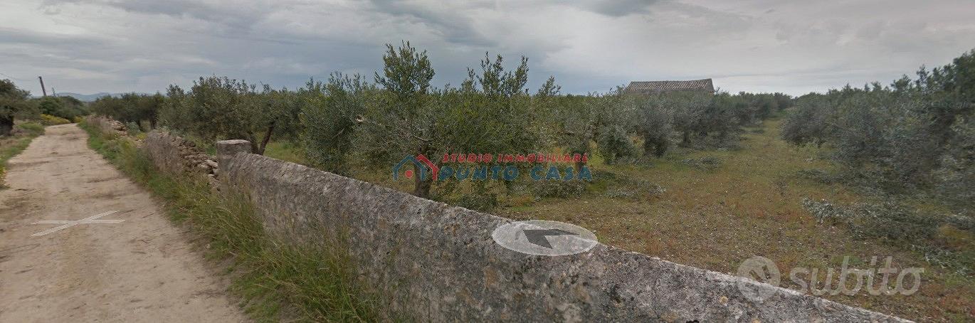 PIETRETAGLIATE - Terreno agricolo di 4.000 mq ca - Vista 3