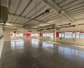 SCANDICCI ZONA INDUSTRIALE Capannone D7