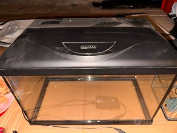 Acquario amtra 60 e amtra 20