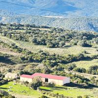 Terreno agricolo con capannoni rif 66/25