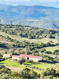 Terreno agricolo con capannoni rif 66/25