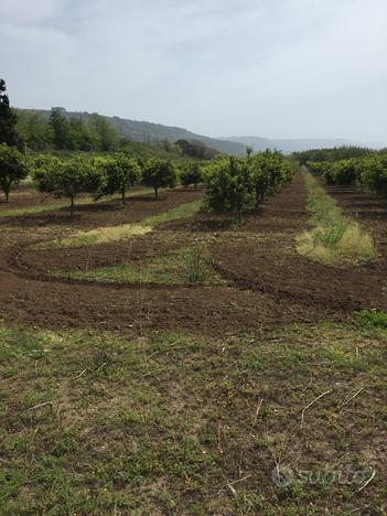 Terreno turistico alberghiero e agricolo