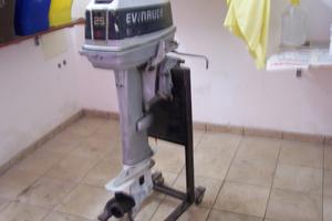 Evinrude 25/35