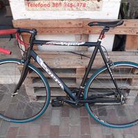 fausto coppi