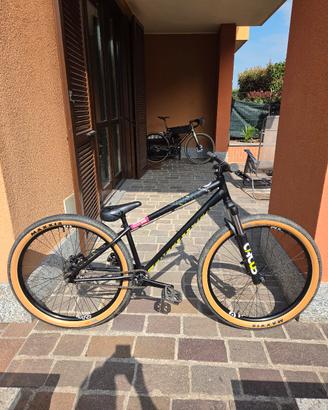 dirt Specialized Pseries