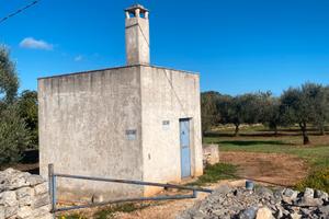 Vendita terreno agricolo