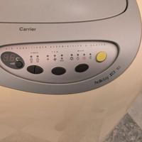 Condizionatore portatile carrier holiday ice 113