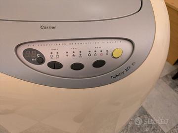 Condizionatore portatile carrier holiday ice 113