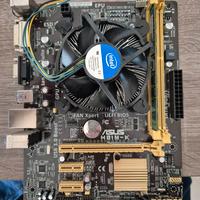 scheda madre asus con cpu e banco ram da 8 gb 